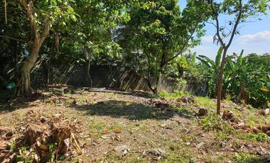 Ayala Greenfield Estates - Phase 1 lot Overlooking Mt. Makiling and Laguna de Bay,