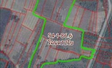 Land sale 54-1-86 rai 24.51Mbaht. Adjacent to asphalt road, electricity is reached, near Road 11, Super Highway, 7 km. Tambon Makhuea Chae, Amphoe Mueang, Lamphun