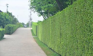 BEAUTIFUL LUXURY 43 ROOM RIVERSIDE RESORT JUST 10 MINUTES FROM DOWNTOWN KANCHANABURI!!!