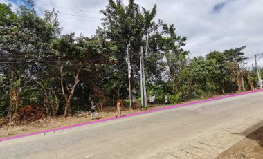 2.23 Hectare Prime lot in San Jose Del Monte Bulacan near Quirino highway