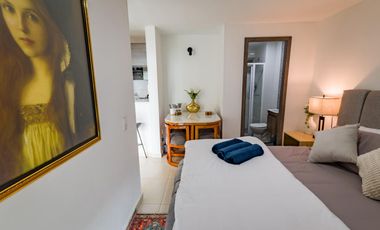 ALQUILER LUJOSO APARTAESTUDIO CAÑAVERAL