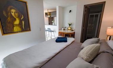 ALQUILER LUJOSO APARTAESTUDIO CAÑAVERAL