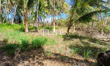 Lot For Sale in Barangay Magay, Dauin, Negros Oriental, situated along Barangay Magay Road, after Dauin Fire station