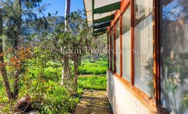 🏡Se vende hermosa y gran parcela con casa en Cuyuncavi, Curacaví.🏡