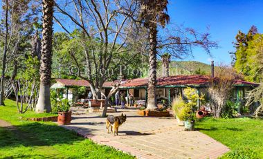 🏡Se vende hermosa y gran parcela con casa en Cuyuncavi, Curacaví.🏡