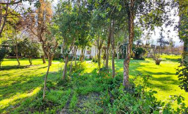 🏡Se vende hermosa y gran parcela con casa en Cuyuncavi, Curacaví.🏡