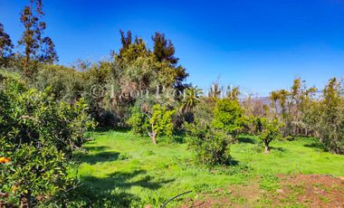 🏡Se vende hermosa y gran parcela con casa en Cuyuncavi, Curacaví.🏡