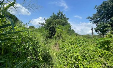 Exclusive Listing! Vacant Lot in East Greenhills