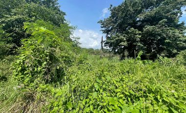 Exclusive Listing! Vacant Lot in East Greenhills