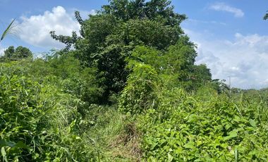 Exclusive Listing! Vacant Lot in East Greenhills