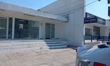 LOCAL COMERCIAL EN RENTA