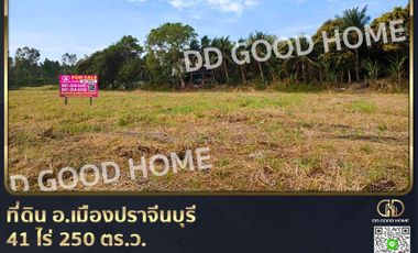 📢Land for sale Mueang Prachinburi District, 41 rai 250 sq w, Khlong Luang Phaeng - Prachinburi Rd.