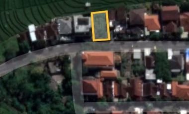 Jarang Ada !! Lokasi Central Canggu, Pinggir Jalan Tidak Masuk Gang ! View Sawah