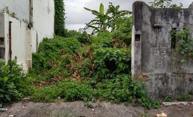 Jarang Ada !! Lokasi Central Canggu, Pinggir Jalan Tidak Masuk Gang ! View Sawah