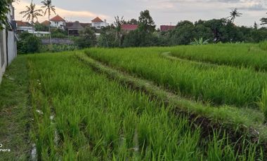 Jarang Ada !! Lokasi Central Canggu, Pinggir Jalan Tidak Masuk Gang ! View Sawah