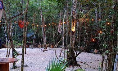 Renta de Centro Holístico en Puerto Morelos