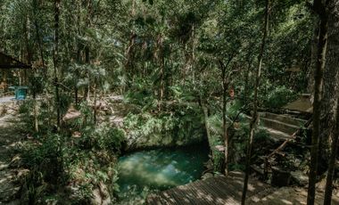 Renta de Centro Holístico en Puerto Morelos