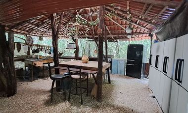 Renta de Centro Holístico en Puerto Morelos