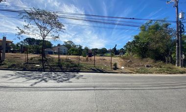 Commercial Lot in San Pedro Laguna Infront Of ParkSpring San Pedro