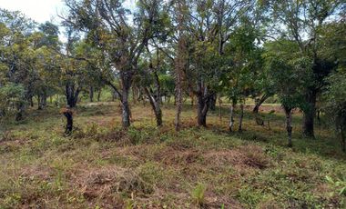 LOTE EN VENTA EN EL ESPINO SAN CARLOS