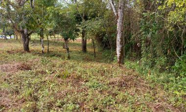 LOTE EN VENTA EN EL ESPINO SAN CARLOS