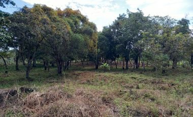 LOTE EN VENTA EN EL ESPINO SAN CARLOS