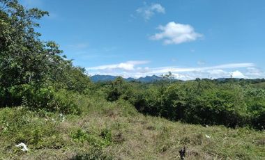 LOTE EN VENTA EN EL ESPINO SAN CARLOS
