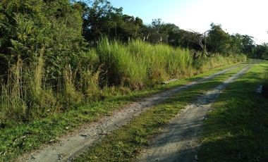 LOTE EN VENTA EN EL ESPINO SAN CARLOS