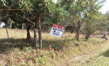 LOTE EN VENTA EN EL ESPINO SAN CARLOS