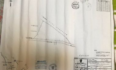 LOTE EN VENTA EN EL ESPINO SAN CARLOS