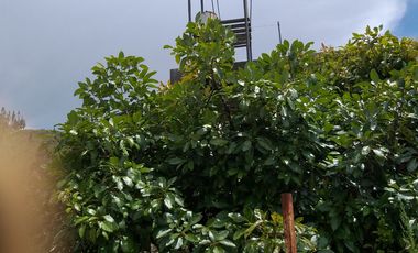 OPORTUNIDAD PROPIEDAD EN VENTA $ 215.000  DE 27.000 MTRS.