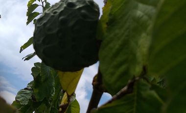 OPORTUNIDAD PROPIEDAD EN VENTA $ 215.000  DE 27.000 MTRS.