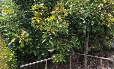 OPORTUNIDAD PROPIEDAD EN VENTA $ 215.000  DE 27.000 MTRS.