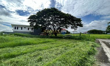 For Sale: Corner Vacant Lot in The Orchard Golf and Country Club Cavite