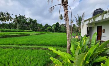 Freehold - Amazing Private Resort In The Heart Of Ubud [5 star rated on TripAdvisor]