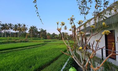 Freehold - Amazing Private Resort In The Heart Of Ubud [5 star rated on TripAdvisor]