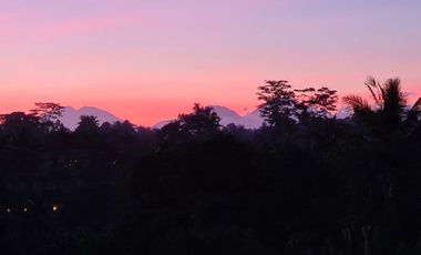 Freehold - Amazing Private Resort In The Heart Of Ubud [5 star rated on TripAdvisor]