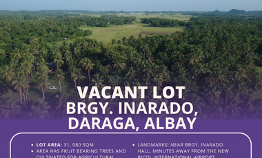 Brgy. Inarado, Daraga, Albay - For SALE