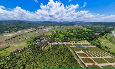 FOR SALE HOUSES AT ROYAL PALMS TOLEDO CITY, CEBU   PHI