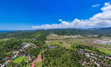 FOR SALE HOUSES AT ROYAL PALMS TOLEDO CITY, CEBU   PHI