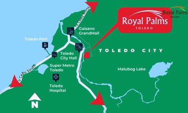 FOR SALE HOUSES AT ROYAL PALMS TOLEDO CITY, CEBU   PHI