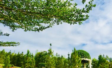 For Sale 2 Storey 2 Bedroom House and Lot for Sale at Camella Riverfront, Talamban, Cebu City