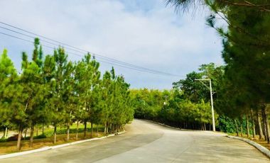 For Sale 2 Storey 2 Bedroom House and Lot for Sale at Camella Riverfront, Talamban, Cebu City