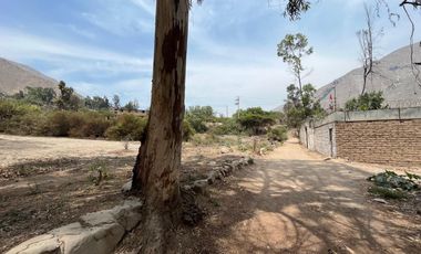 SE VENDE TERRENO 1022.7 M² - ASOCIACIÒN PRO VIV. PROPIA CASA HUERTA CHOSICA LURIGANCHO
