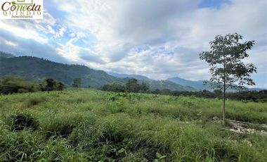 Finca Venta – Barcelona Quindío