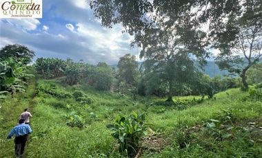 Finca Venta – Barcelona Quindío