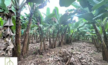 Finca Venta – Barcelona Quindío