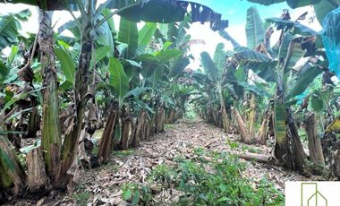 Finca Venta – Barcelona Quindío