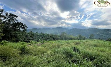 Finca Venta – Barcelona Quindío