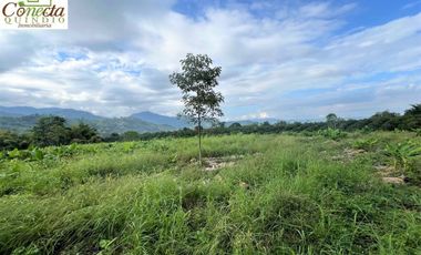 Finca Venta – Barcelona Quindío